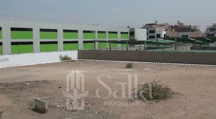 Terreno Santo Domingo Carabayllo 3